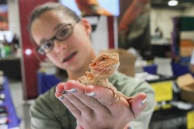 14-year old Grayson student Josie holds a bearded dragon.