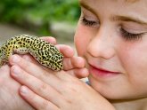 Best Reptiles pets for kids