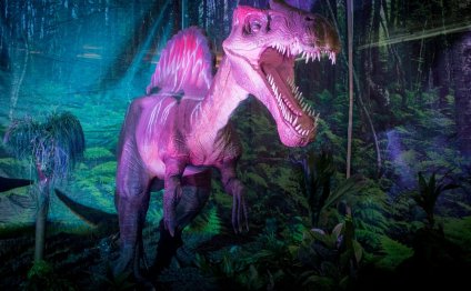 Discover the Dinosaurs Exhibit