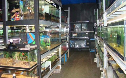Exotic Pet Supplies