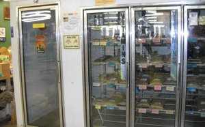 Exotic pet store online