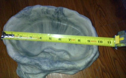 Reptiles Accessories