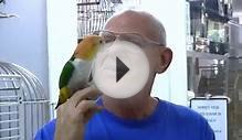 Arizona Bird Store | Parrots - Exotic Birds - Cages For