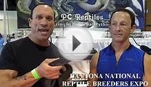 Blacked Out Boas: Daytona Reptile Breeders Expo- Part 7