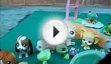 littlest pet shop cute toys dogs cats lizards frogs etc