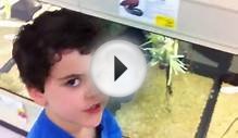 Lizards Escape from PetSmart