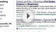 Pet Corn Snake Search Story