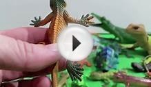 Toy Reptiles -Lizards, Crocodiles, Chameleons, Iguanas